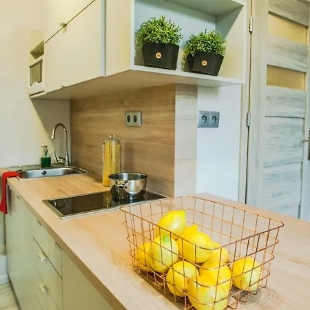 Apartament F&w Cactus & Orange Studio Kraków
